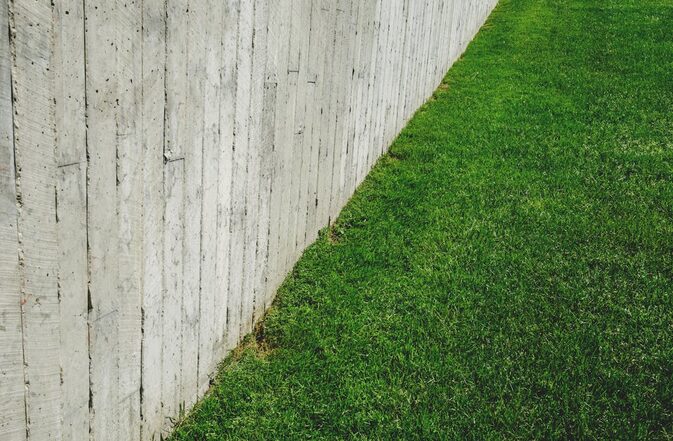 grass